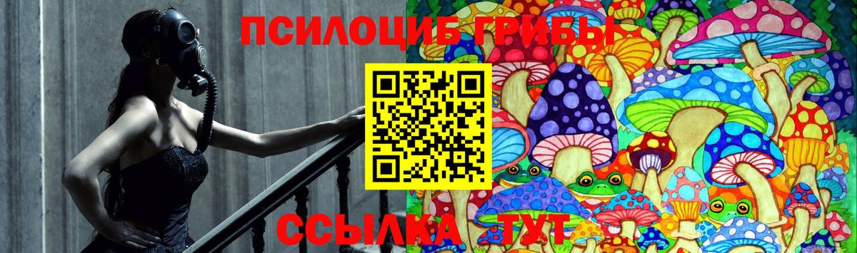 Галлюциногенные грибы прущие грибы  Вход с VPN  Усть-Кут 