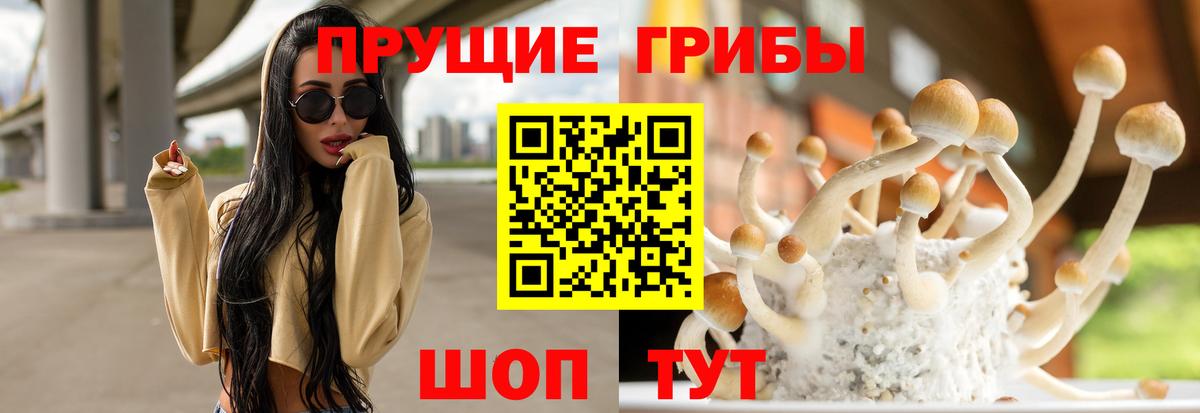 Псилоцибиновые грибы GOLDEN TEACHER Усть-Кут